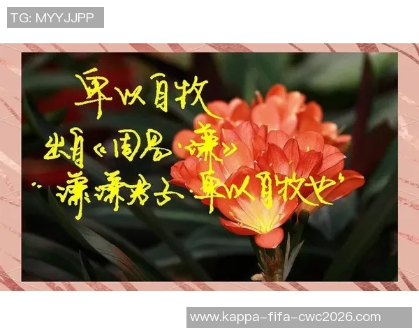 足球场上的成语智慧与人生哲理的完美结合探讨